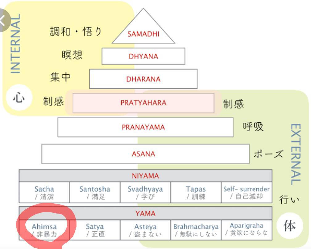 花愛先生コラム②