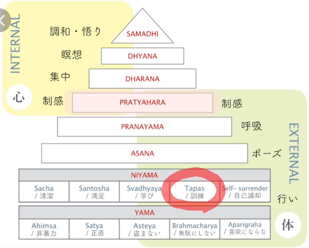 花愛先生コラム⑨