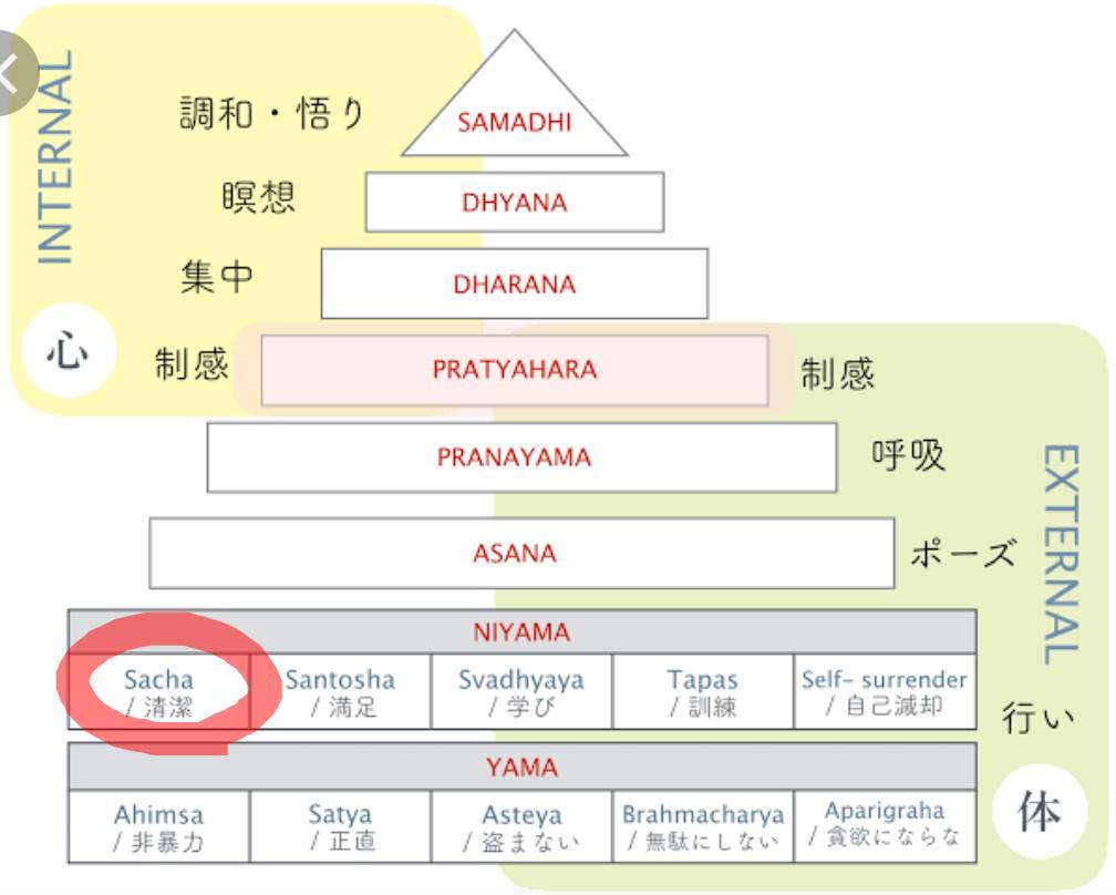 花愛先生コラム⑦