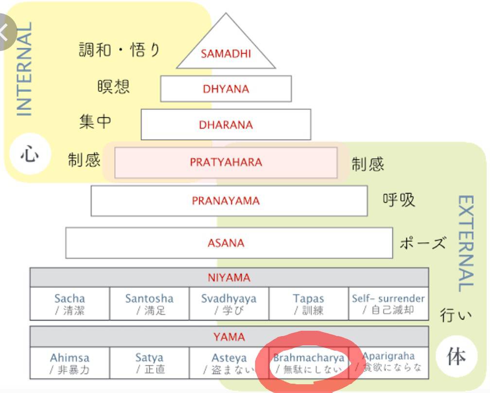 花愛先生コラム⑤
