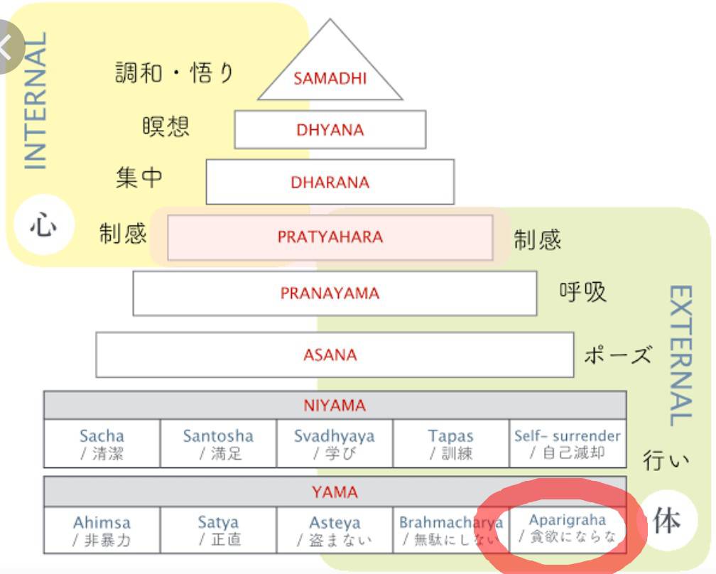 花愛先生コラム⑥