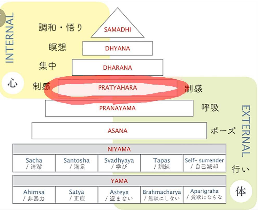 花愛先生コラム⑭