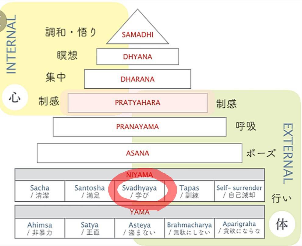 花愛先生コラム⑩