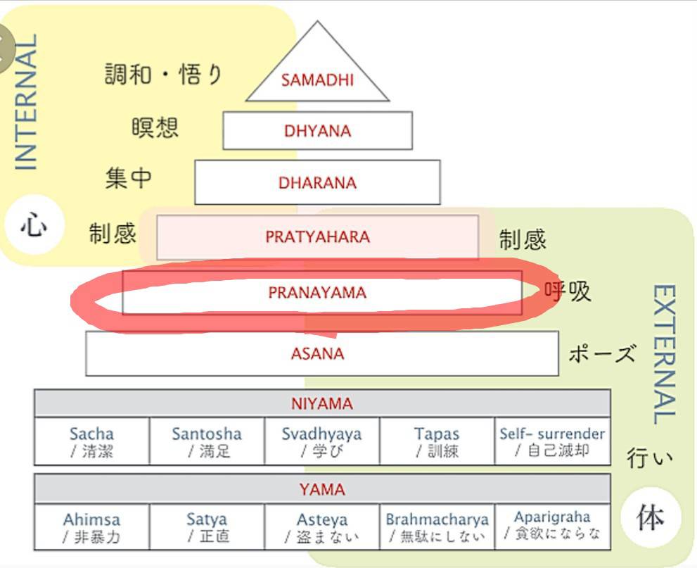 花愛先生コラム⑬