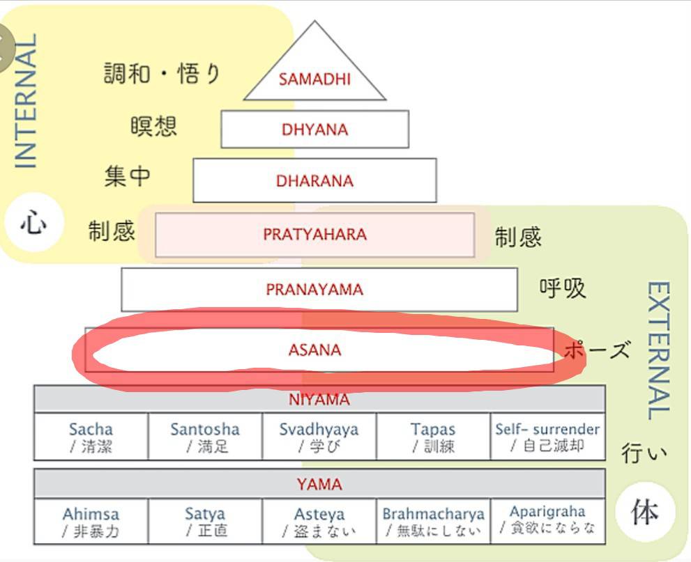 花愛先生コラム⑫