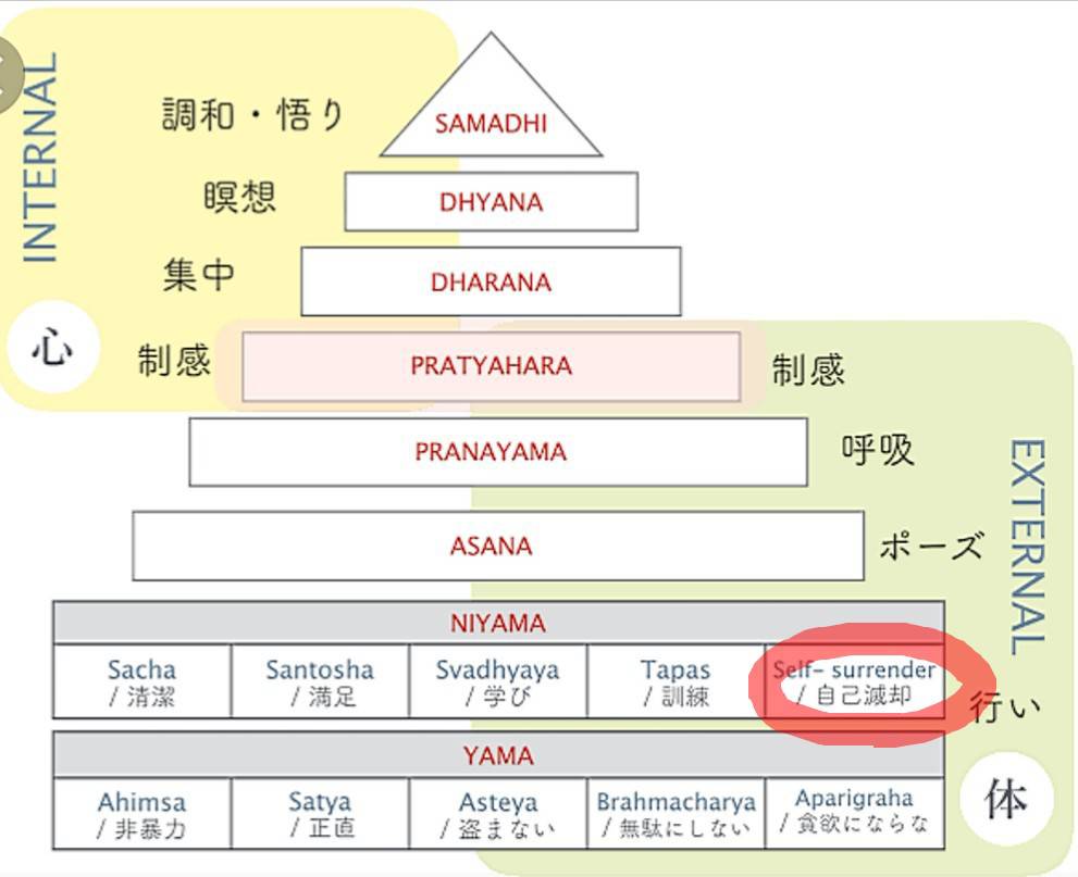 花愛先生コラム⑪
